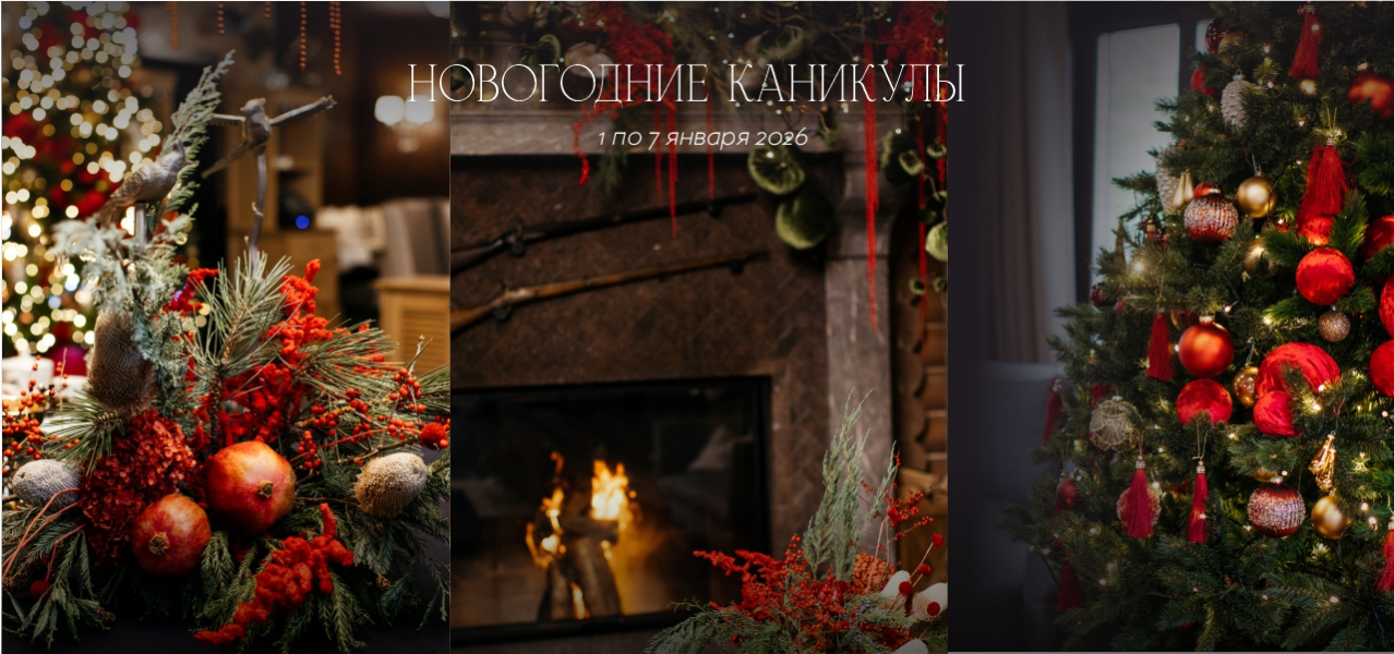 Новогодние каникулы